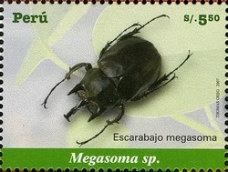 Colnect-1585-005-Elephant-Beetle-Megasoma-sp.jpg