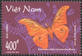 Colnect-1656-120-Silk-Moth-Anthereca-helferi-borneensis.jpg