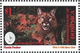 Colnect-3207-166-Florida-Panther-Puma-concolor-coryi.jpg