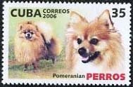 Colnect-1022-433-Pomeranian-Canis-lupus-familiaris.jpg