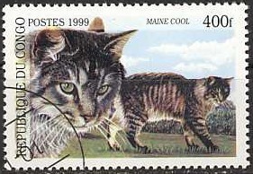 Colnect-1119-299-Maine-Coon-Felis-silvestris-catus.jpg