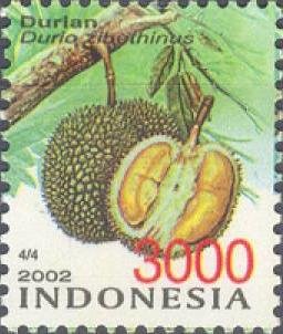 Colnect-1143-459-Durian---Durio-zibethinus.jpg