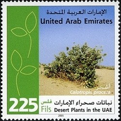 Colnect-1384-857-Desert-plants-in-the-UAE---Calotropis-procera.jpg