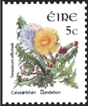 Colnect-1718-924-Dandelion--Taraxacum-officinale.jpg
