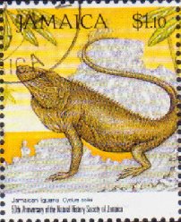 Colnect-3686-836-Jamaican-Iguana-Cyclura-collei.jpg