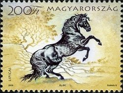 Colnect-497-457-Lippizzan-Equus-ferus-caballus.jpg