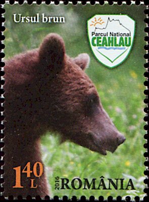 Colnect-5605-084-Brown-Bear-Ursus-arctos.jpg