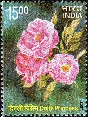 Colnect-542-603-Fragrance-of-Roses---Delhi-Princess.jpg