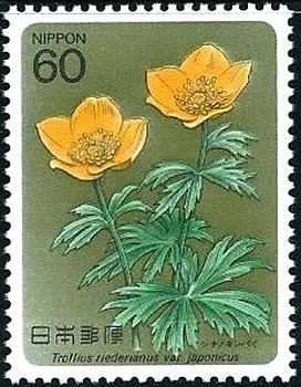 Colnect-2189-223-Alpine-plant--Trollius-riederianus-var-japonicus.jpg