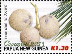 Colnect-4239-409-Three-coconuts-one-with-new-shoot.jpg