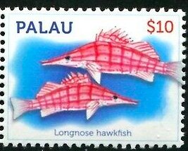 Colnect-6019-639-Longnose-hawkfish.jpg