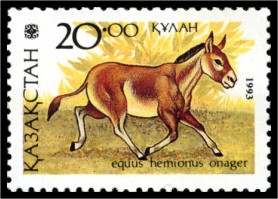 Equus_hemionus_onager_-_stamp.jpg