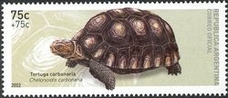 Colnect-1236-262-Pro-Philately---Red-footed-Tortoise-Chelonoidis-carbonaria.jpg
