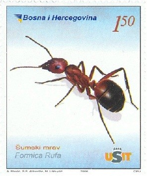 Colnect-1283-808-Red-Wood-Ant-Formica-rufa.jpg