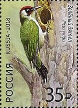 Colnect-4724-117-Green-woodpecker-Picus-viridis.jpg