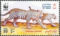 Colnect-1541-197-Arabian-Leopard-Panthera-pardus-nimr.jpg