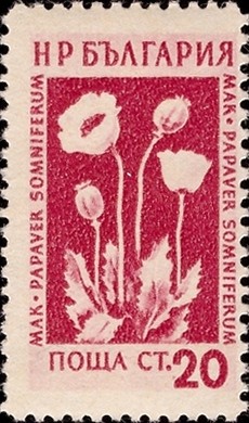 Colnect-2159-613-Opium-Poppy-Papaver-somniferum.jpg