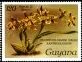 Colnect-3526-400-Phalaenopsis-grandiflora-aurea.jpg