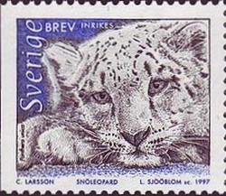 Colnect-434-669-Snow-Leopard-Panthera-uncia-.jpg