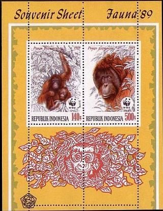 Colnect-1103-720-Bornean-Orangutan-Pongo-pygmaeus.jpg