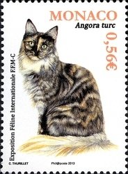 Colnect-1538-348-Turkish-Angora-Felis-silvestris-catus.jpg