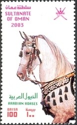 Colnect-1541-157-Arabian-Horse-Equus-ferus-caballus.jpg