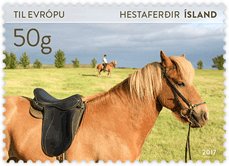 Colnect-4077-560-Iceland-Horse-Equus-ferus-caballus.jpg