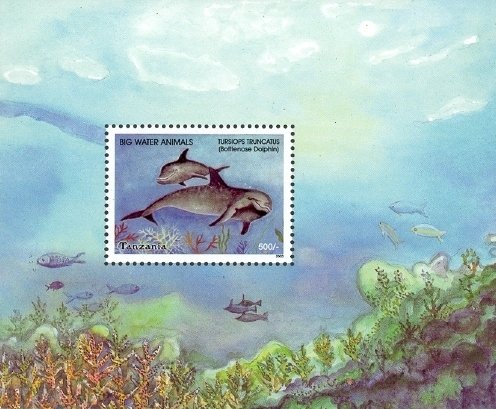 Colnect-1690-102-Common-Bottlenose-Dolphin-Tursiops-truncatus.jpg