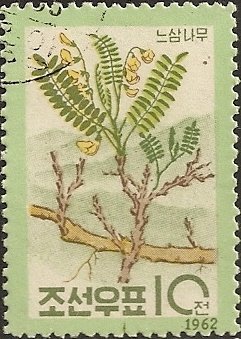 Colnect-2098-147-Echinosophora-koraiensis-.jpg