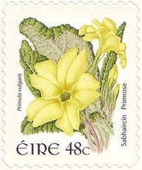 Colnect-617-114-Primrose-Primula-vulgaris.jpg