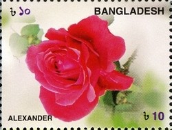 Colnect-958-930-Roses---Alexander.jpg