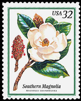 Colnect-2649-156-Southern-Magnolia.jpg