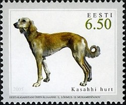 Colnect-420-621-Kazakh-Greyhound-Canis-lupus-familiaris.jpg