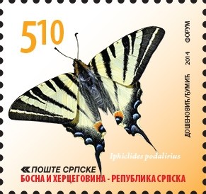 Colnect-3071-775-Scarce-Swallowtail-Iphiclides-podalirius.jpg