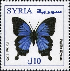 Colnect-1428-626-Papilio-ulysses.jpg