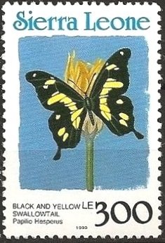 Colnect-4292-667-Papilio-hesperus.jpg