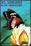Colnect-4751-818-Papilio-cacicus.jpg