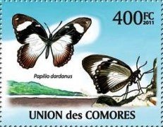 Colnect-5405-239-Papilio-dardanus.jpg