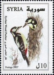 Colnect-1427-254-Syrian-Woodpecker-Dendrocopos-syriacus.jpg