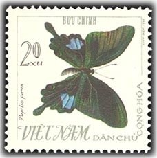 Colnect-1652-383-Paris-Peacock-Papilio-paris.jpg