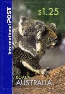 Colnect-1449-433-Koala-Phascolarctos-cinereus.jpg