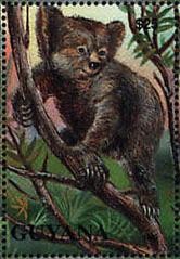 Colnect-1667-416-Koala-Phascolarctos-cinereus.jpg