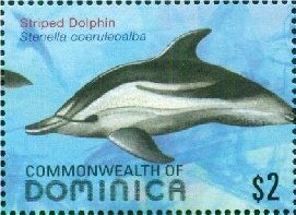 Colnect-3281-482-Striped-Dolphin-Stenella-coeruleoalba.jpg
