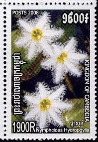 Colnect-3658-000-Nymphoides-hydrophylla.jpg