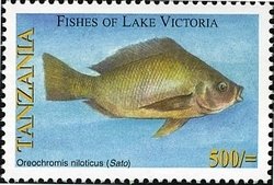 Colnect-1690-472-Nile-Tilapia-Oreochromis-niloticus.jpg