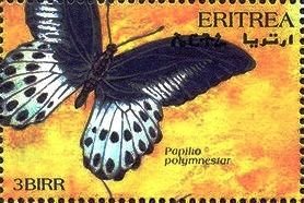 Colnect-4742-742-Papilio-polymnestor.jpg
