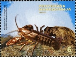 Colnect-1449-007-Stone-Crayfish-Austropotamobius-torrentium-ssp-macedonicus.jpg