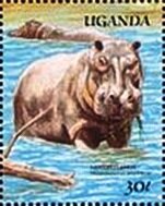 Colnect-5615-031-Hippopotamus-amphibius.jpg