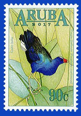 Colnect-4178-006-Purple-Gallinule.jpg