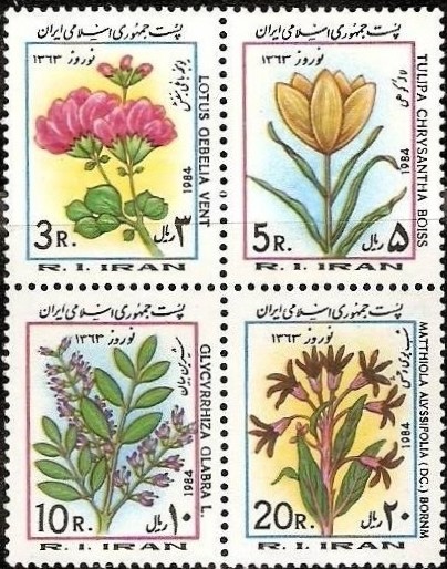 Colnect-2118-783-Lotus-gebelia-tulip-liquorice-matthiola-alyssifolia.jpg